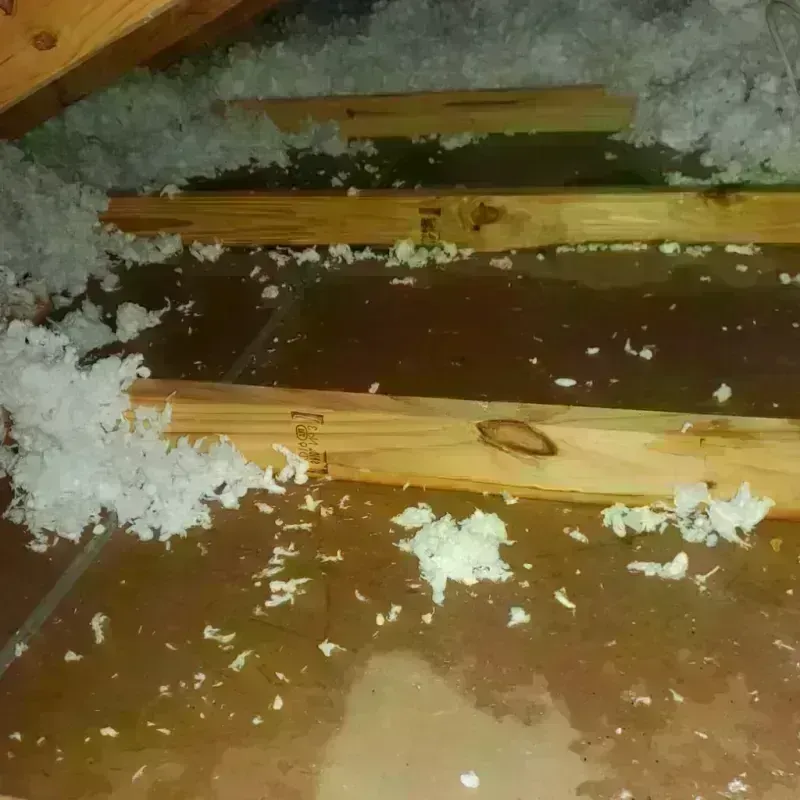 Attic Water Damage in Stiles, PA