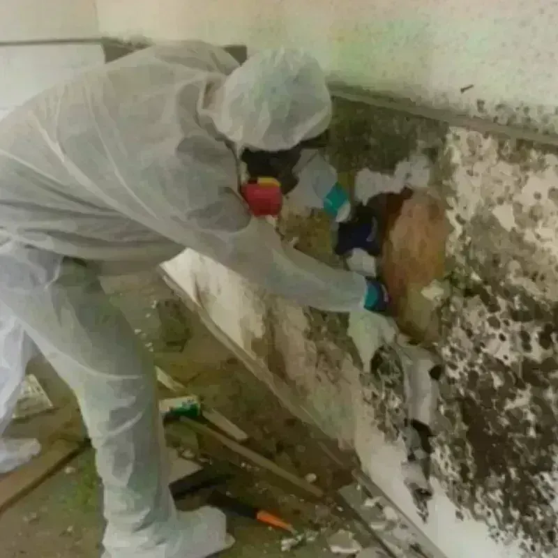 Mold Remediation and Removal in Stiles, PA